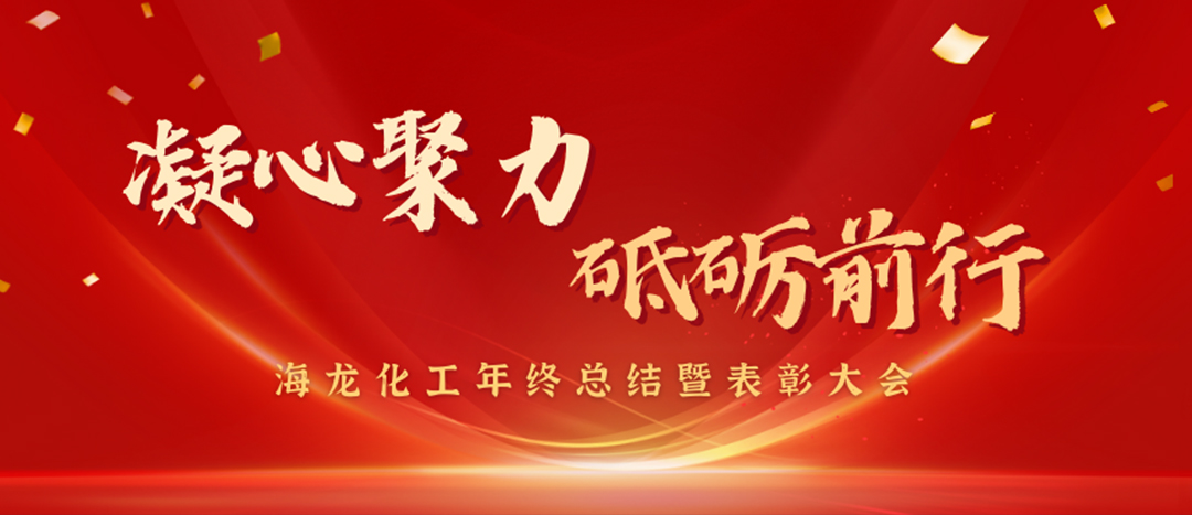 表彰 | 凝心聚力，砥礪前行，海龍化工年終總結(jié)暨表彰大會圓滿舉行